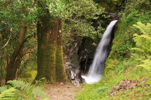 Waterfall - Wicklow Mountains